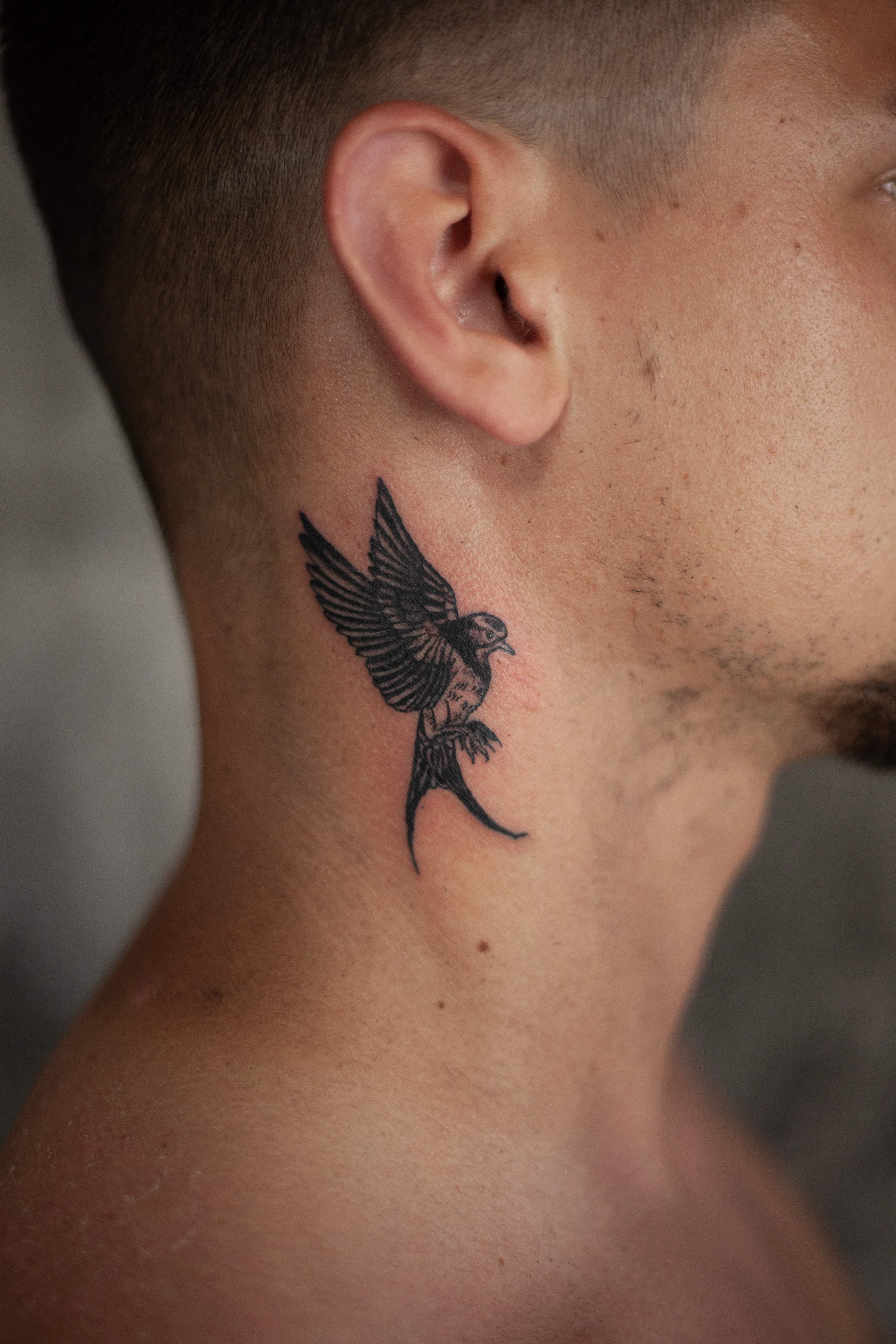 Tetovaža Ptica - Fine Line & Minimal rad Eternal Art studio